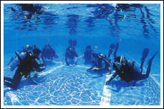 PADI Diver Courses