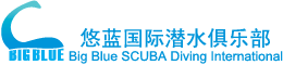 Logo of Big Blue